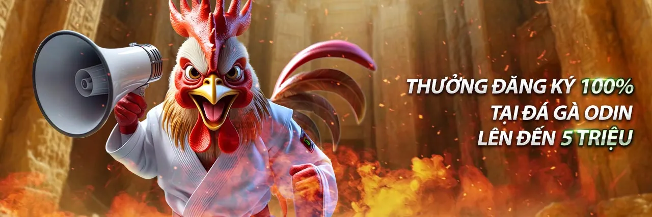 Banner đăng ký 5top link mới