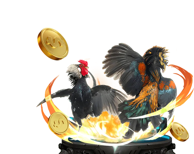 Tự tìm kiếm thông tin